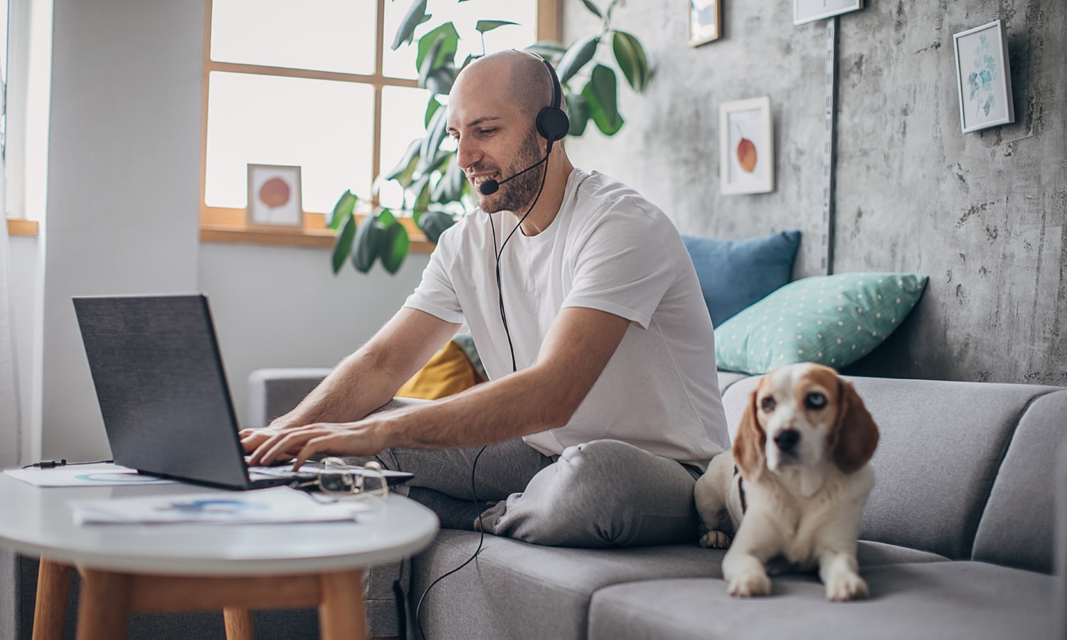 História de sucesso: Alpha CC