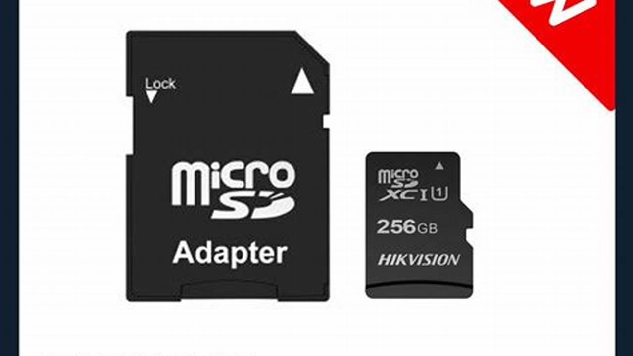 Hikvision Extreme Temperature MicroSD Card, Best Picks