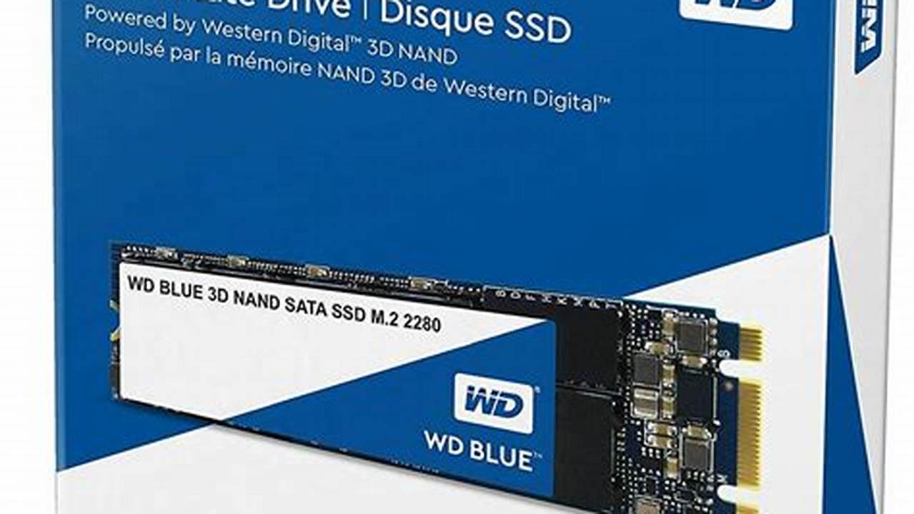 WD Blue SN550 500GB, Best Picks