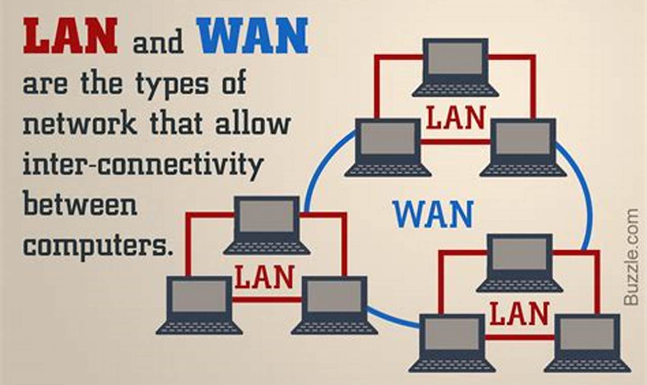 wan vs lan cable understanding the differences